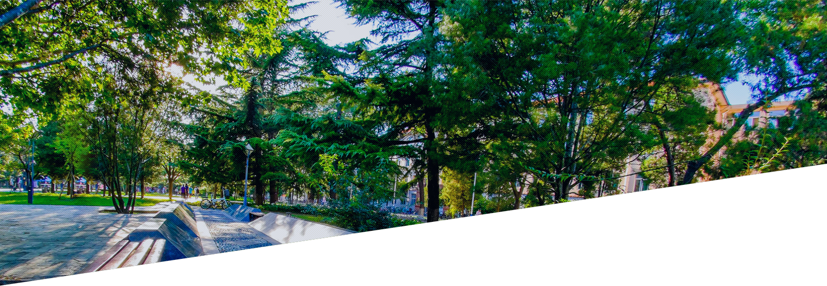 亚美AM8AG·(中国区)官方网站