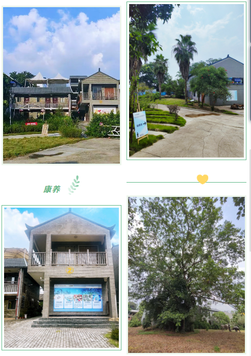 18新利LUCK·(中国区)官方网站